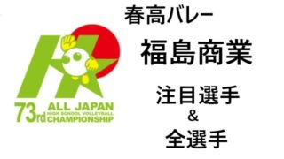 バレーボールのボールのサイズ 年代別やカテゴリー別に完全紹介