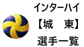 バレーボールのボールのサイズ 年代別やカテゴリー別に完全紹介