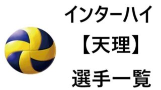 バレーボールのボールのサイズ 年代別やカテゴリー別に完全紹介
